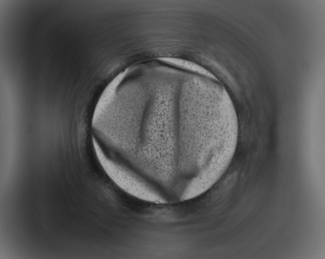 X0000087050113200705160959