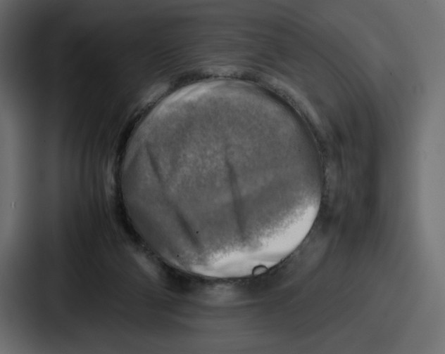 X0000087050114200705160959