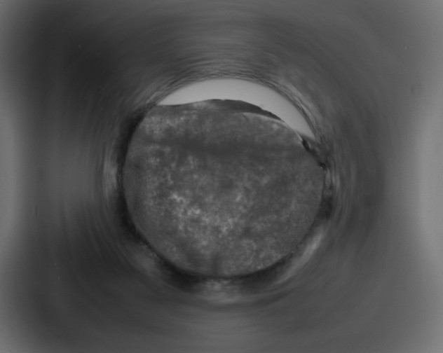 X0000087050117200705160959