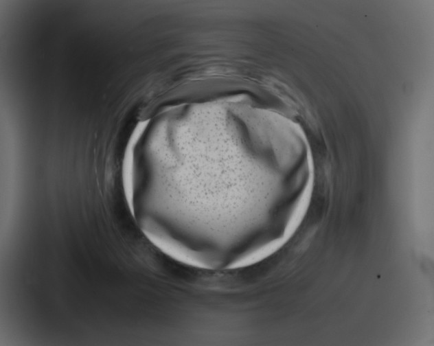 X0000087050125200705160959