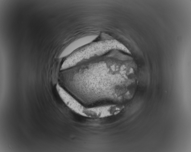 X0000087050131200705160959