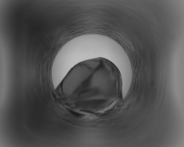 X0000087050133200705160959