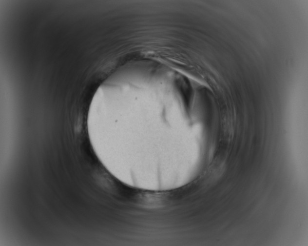 X0000087050134200705160959