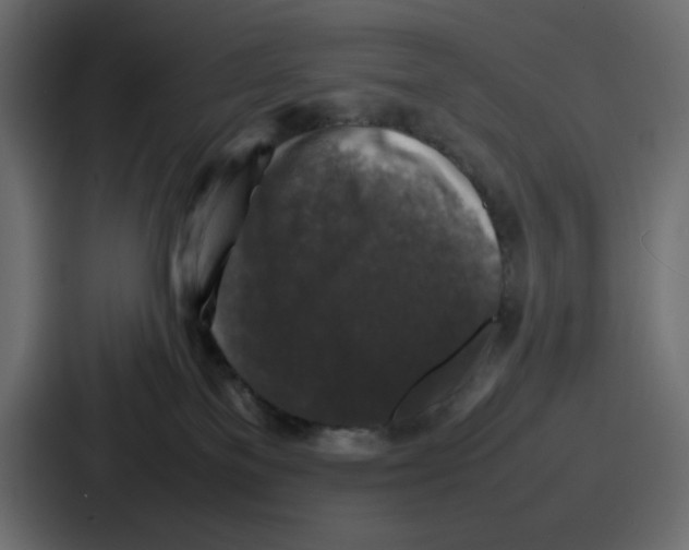 X0000087050137200705160959