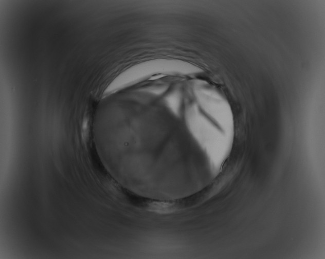 X0000087050139200705160959