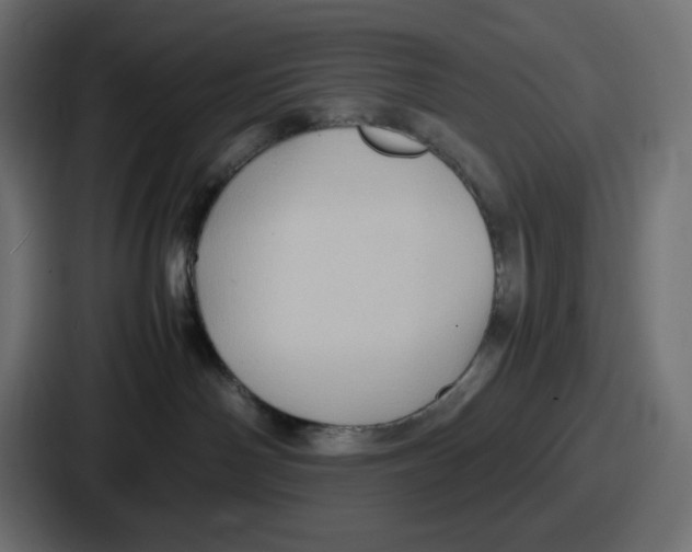 X0000087050142200705160959