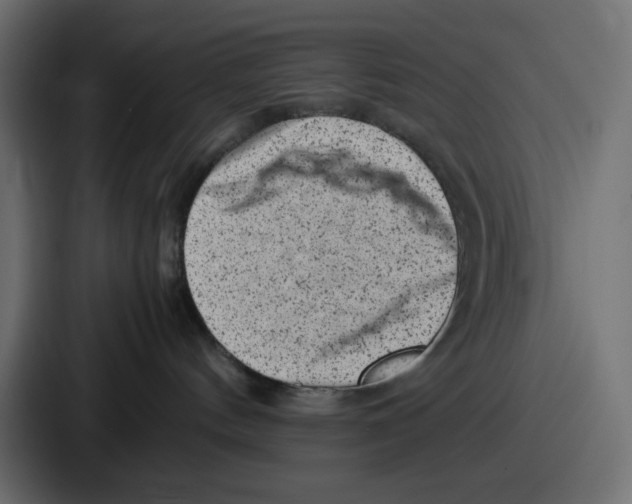 X0000087050144200705160959