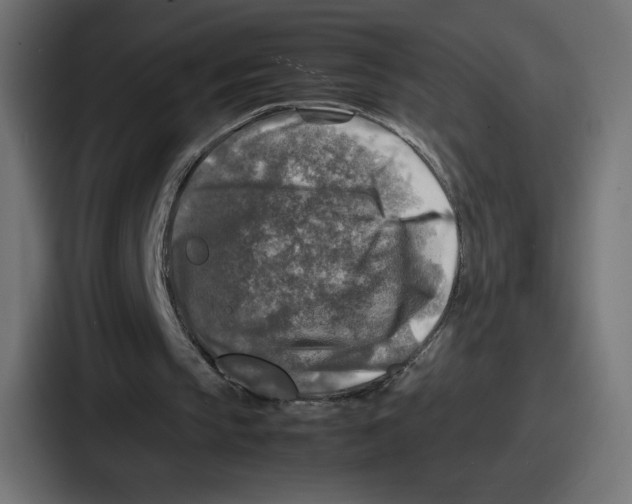 X0000087050145200705160958