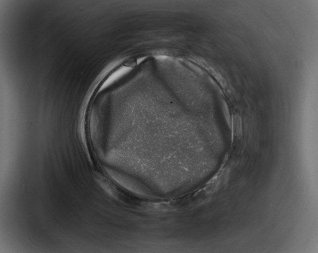 X0000087050147200705160958