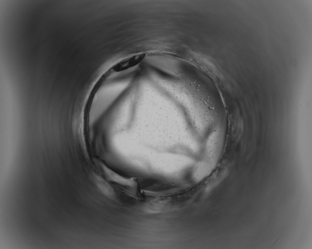 X0000087050148200705160958