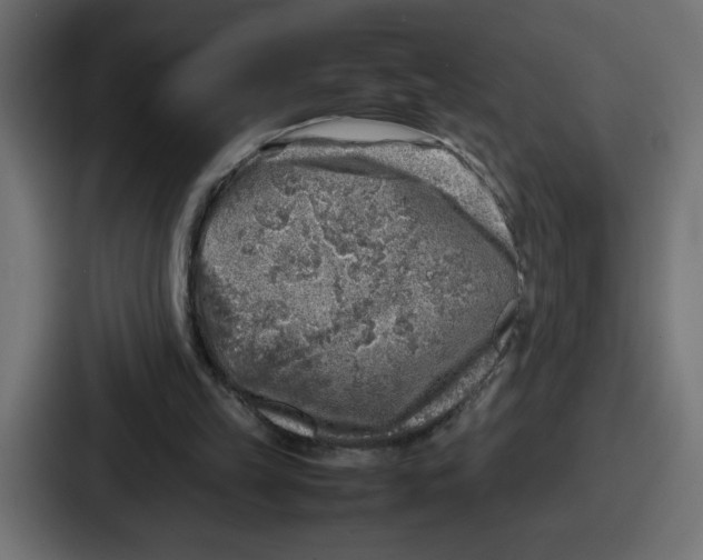 X0000087050149200705160958