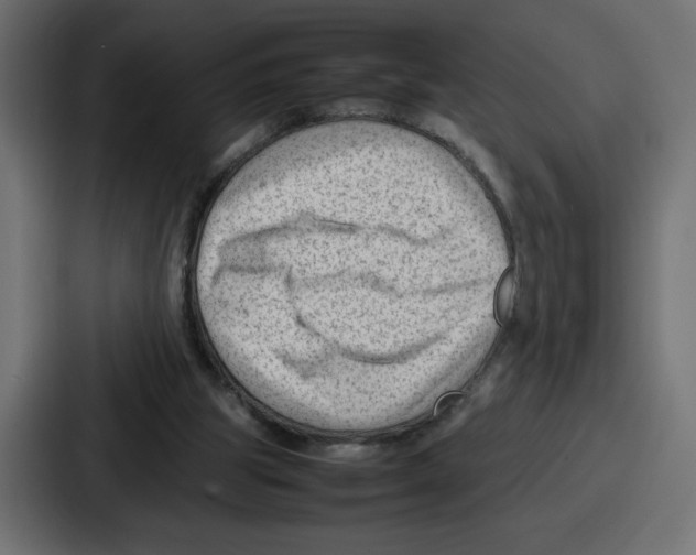 X0000087050153200705160958