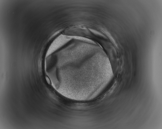 X0000087050154200705160958