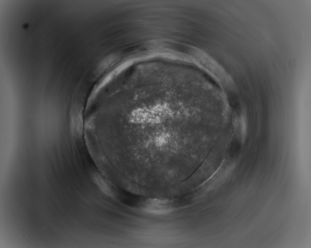 X0000087050158200705160958