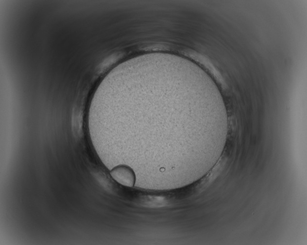 X0000087050159200705160958