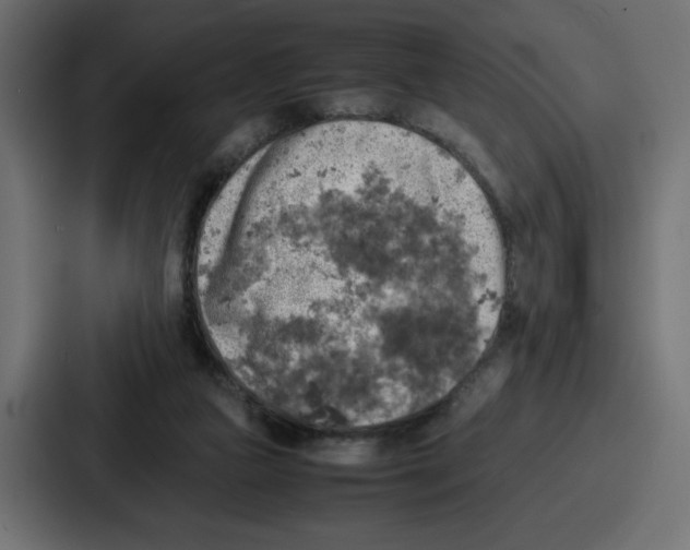 X0000087050161200705160958