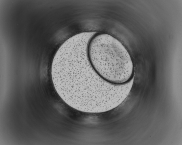 X0000087050162200705160958