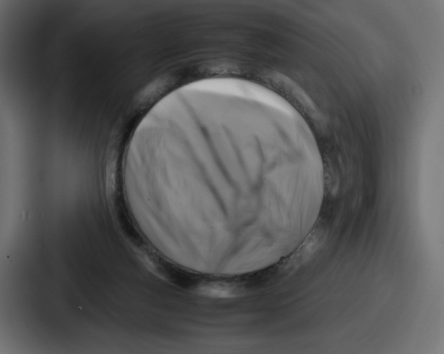 X0000087050163200705160958