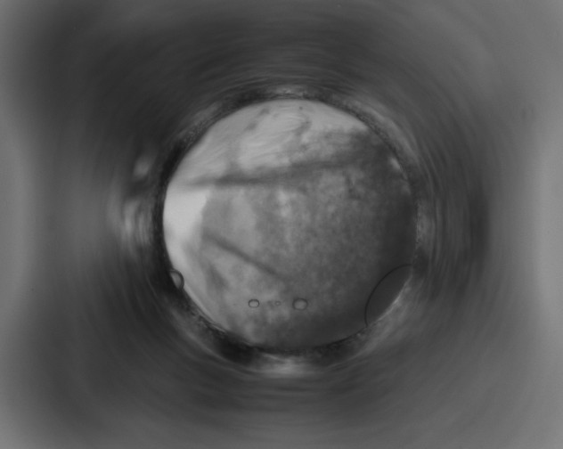 X0000087050167200705160958