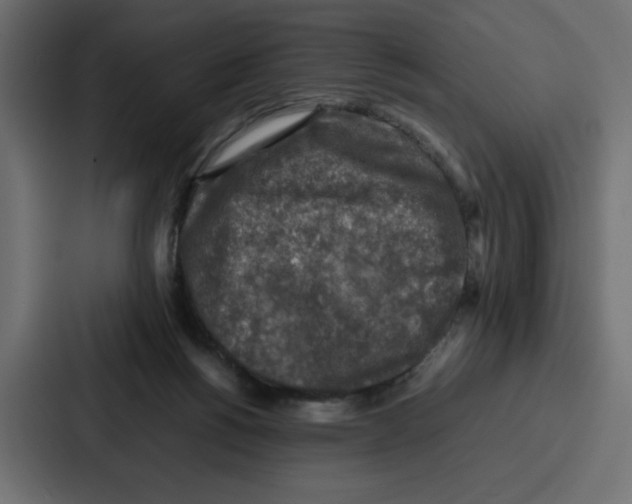 X0000087050168200705160959