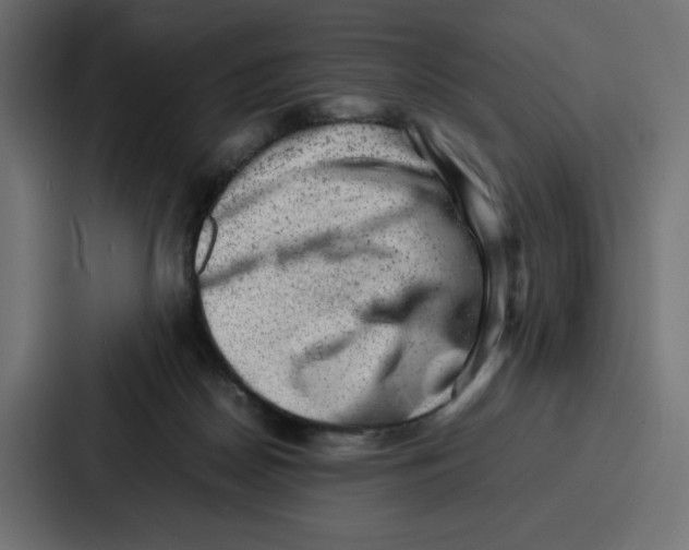 X0000087050170200705160959