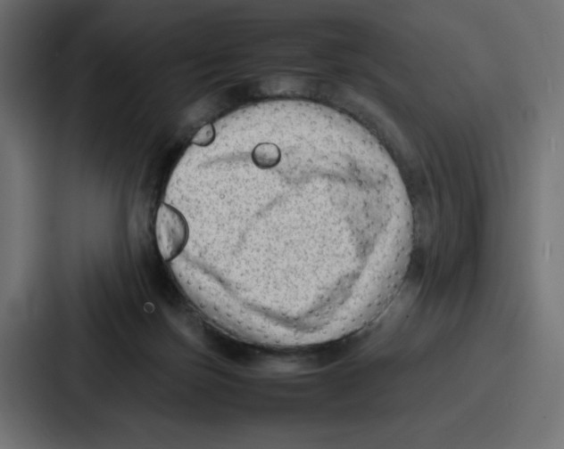 X0000087050171200705160959