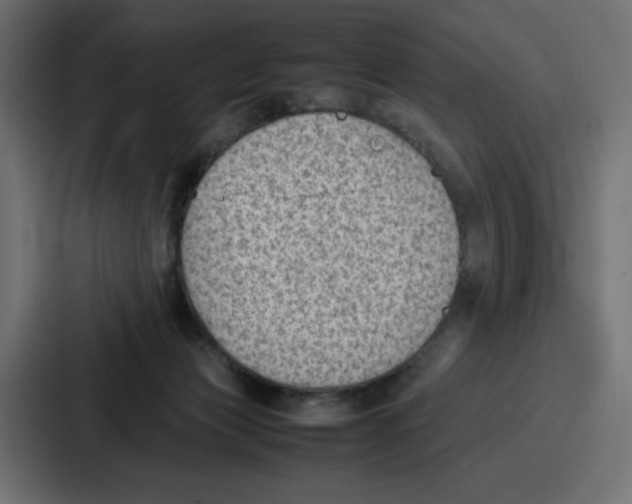 X0000087050173200705160959