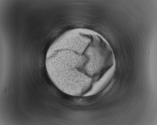 X0000087050174200705160959