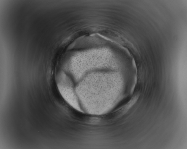 X0000087050176200705160959