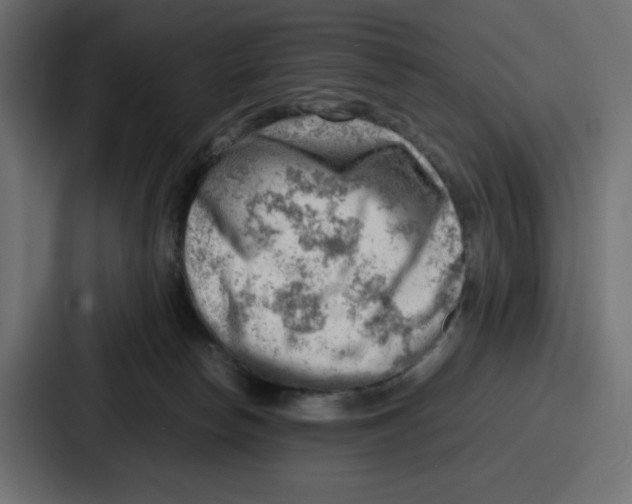 X0000087050178200705160959