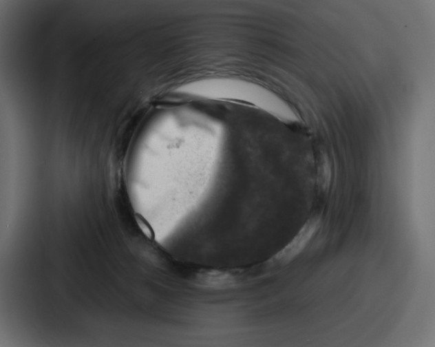 X0000087050180200705160959