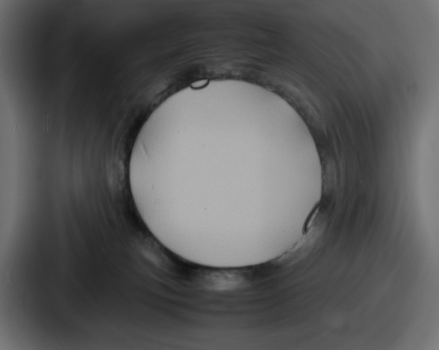 X0000087050183200705160959