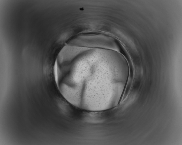 X0000087050184200705160959