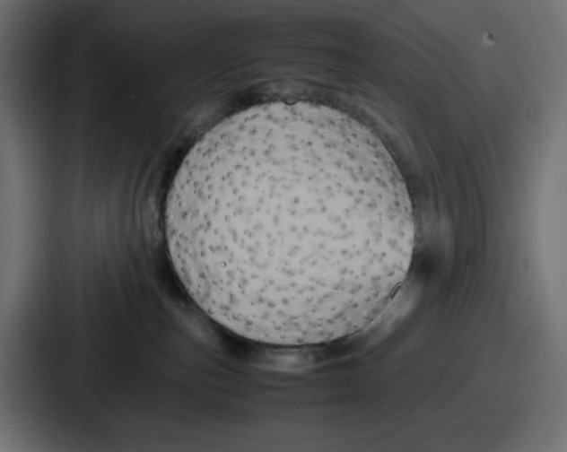 X0000087050187200705160959