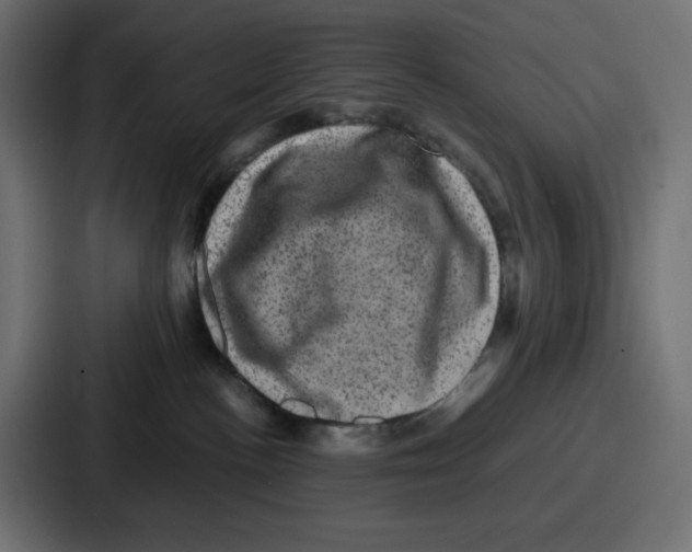 X0000087050188200705160959