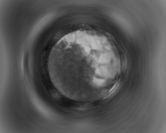 X0000087050191200705160959