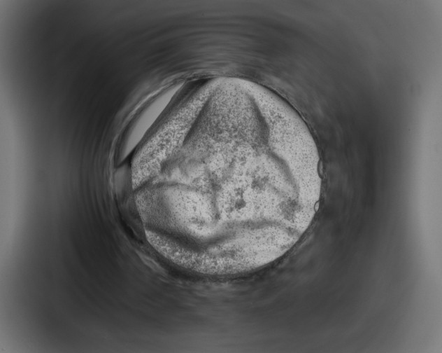 X0000087050194200705160958