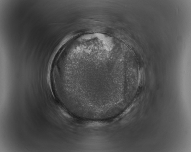 X0000087050195200705160958