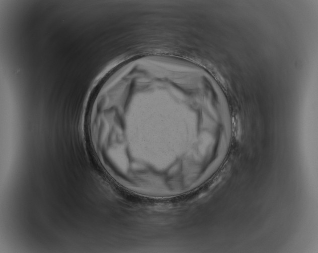 X0000087050196200705160958