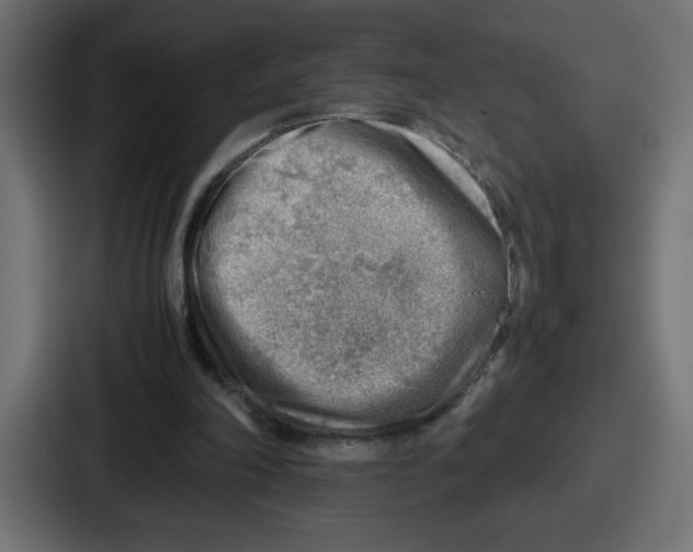 X0000087050198200705160958