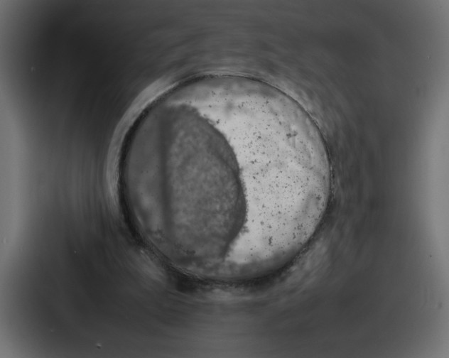 X0000087050199200705160958