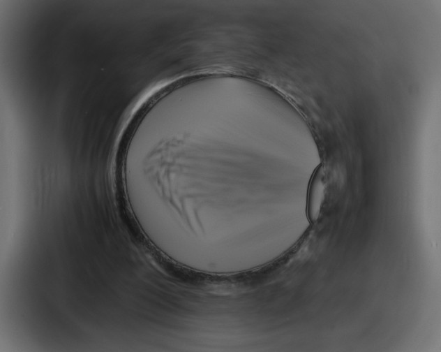 X0000087050200200705160958