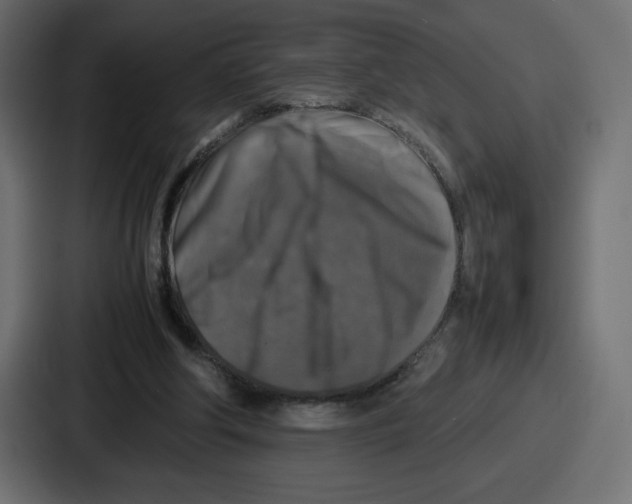 X0000087050202200705160958