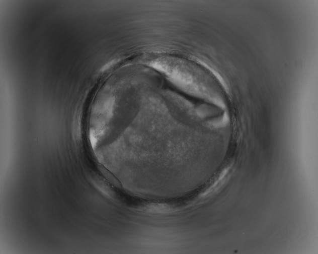 X0000087050203200705160958