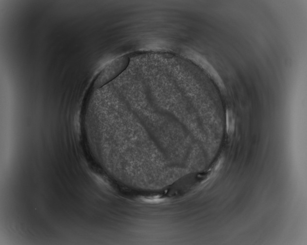 X0000087050204200705160958