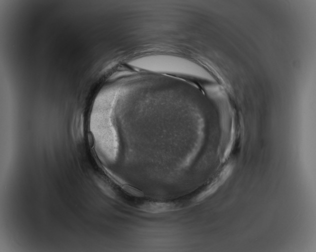 X0000087050205200705160958