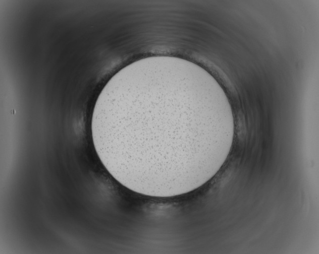 X0000087050208200705160958