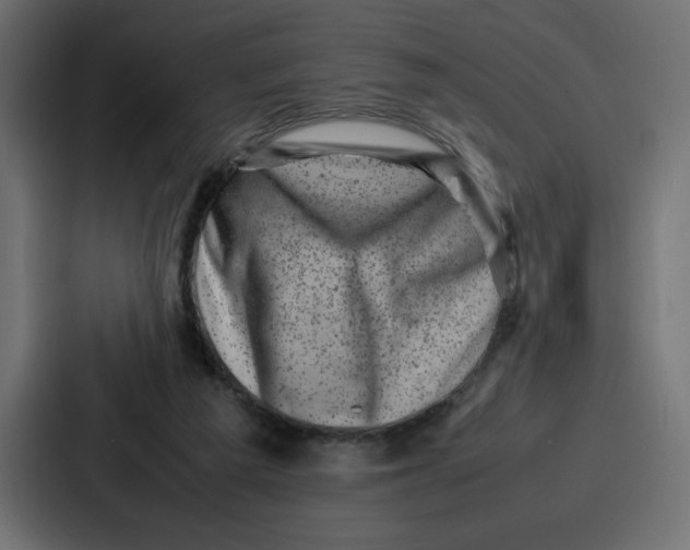 X0000087050209200705160958