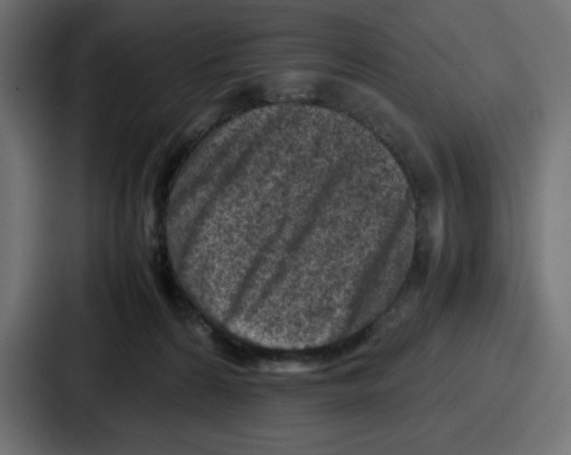 X0000087050224200705160958