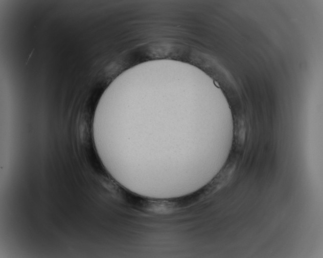 X0000087050226200705160958